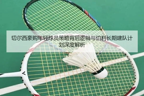 切尔西豪购年轻球员策略背后逻辑与伯利长期建队计划深度解析
