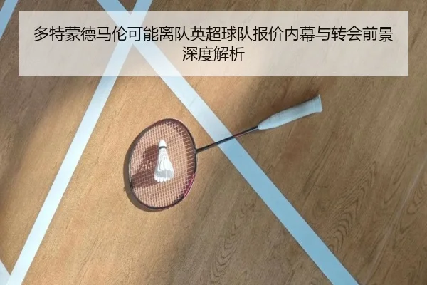多特蒙德马伦可能离队英超球队报价内幕与转会前景深度解析